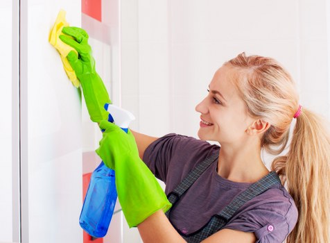 Cleaning service terms and conditions introduction with booking and agreement details