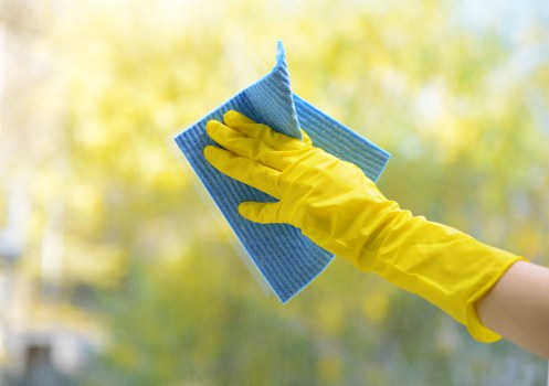 Professional cleaner in Ilford starting a domestic cleaning service