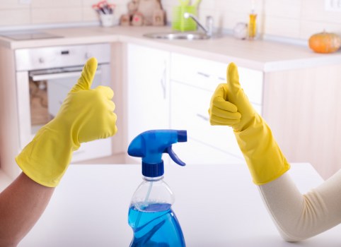 Professional house cleaning service for a family home in Ilford