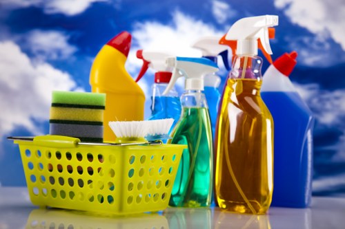 Professional patio cleaning for an Ilford home garden