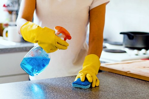 Local regular cleaning visit for a property in Ilford