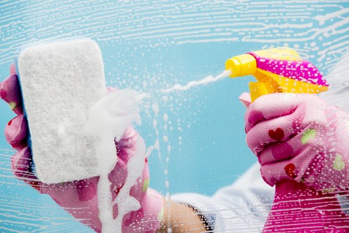 Professional stain removal for carpets and upholstery in an Ilford home