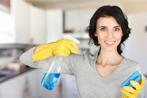 Upholstery cleaning equipment used for sofa cleaning in Ilford
