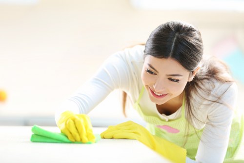 Deep cleaning support for a lived-in home in Ilford