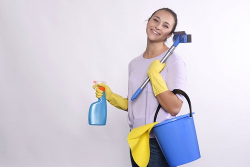 Professional gutter maintenance for an Ilford home