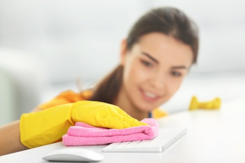 Detailed cleaning work in an Ilford property with fresh results