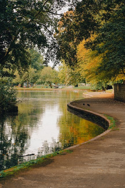 A paved pathway alongside a calm, reflective body of water within Valentines Park, surrounded by lush trees with dense green and yellow foliage. The scene showcases a natural outdoor setting with the pathway curving gently along the water's edge, illuminated by soft daylight filtering through the trees. This tranquil environment highlights the peaceful outdoors ideal for relaxation and leisure activities. Visual details include the smooth, slightly damp surface of the pathway and the still water surface mirroring the foliage above. Cleaner Ilford offers professional outdoor surface cleaning and park maintenance, ensuring environments like Valentines Park remain clean and inviting, with focus on regular sanitation and upkeep of pathways and surrounding areas.