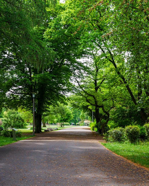 https://cleanerilford.co.uk/blog/valentines-park-deep-cleaning-services-ilford/